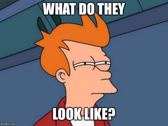 Futurama Fry Meme | WHAT DO THEY LOOK LIKE? | image tagged in memes,futurama fry | made w/ Imgflip meme maker