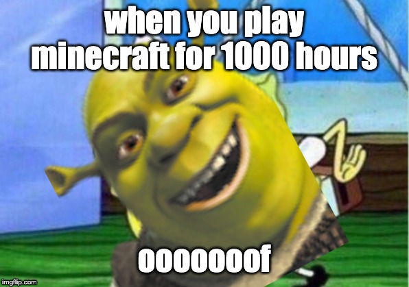 A meme | when you play minecraft for 1000 hours; ooooooof | image tagged in minecraft | made w/ Imgflip meme maker