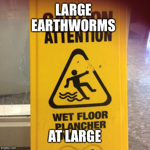 Wet Floor Sign Meme Viewfloor.co