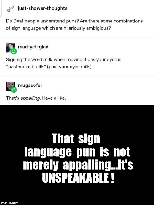 Unspeakably Horrible | That  sign  language  pun  is  not  merely  appalling...It's  UNSPEAKABLE ! | image tagged in punny | made w/ Imgflip meme maker