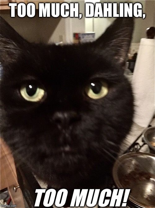 Edna cat | TOO MUCH, DAHLING, TOO MUCH! | image tagged in edna cat | made w/ Imgflip meme maker