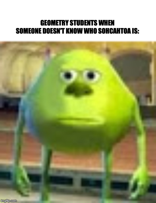 Sully Wazowski | GEOMETRY STUDENTS WHEN SOMEONE DOESN'T KNOW WHO SOHCAHTOA IS: | image tagged in sully wazowski | made w/ Imgflip meme maker