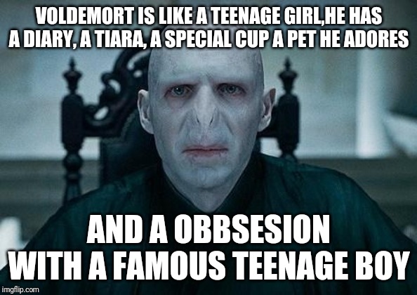 Lord Voldemort | VOLDEMORT IS LIKE A TEENAGE GIRL,HE HAS A DIARY, A TIARA, A SPECIAL CUP A PET HE ADORES; AND A OBBSESION WITH A FAMOUS TEENAGE BOY | image tagged in lord voldemort | made w/ Imgflip meme maker