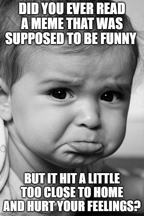 Image Tagged In Sad hurt Feelings so True Memes Imgflip