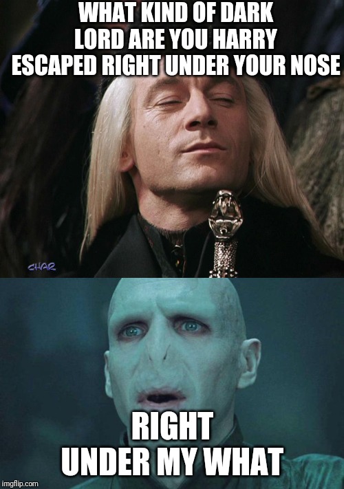 WHAT KIND OF DARK LORD ARE YOU HARRY ESCAPED RIGHT UNDER YOUR NOSE; RIGHT UNDER MY WHAT | image tagged in voldemort,lucius malfoy | made w/ Imgflip meme maker