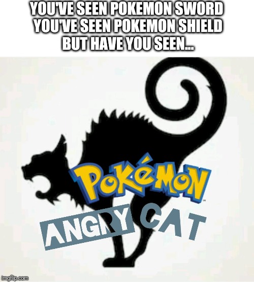 YOU'VE SEEN POKEMON SWORD 
YOU'VE SEEN POKEMON SHIELD
BUT HAVE YOU SEEN... | image tagged in pokemon,pokemon sword and shield,sword,shield,angry,cat | made w/ Imgflip meme maker