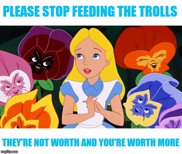 Noticing some of the younger users are leaving the flip because of a few trolls. What's the best way to tackle a troll? | PLEASE STOP FEEDING THE TROLLS; THEY'RE NOT WORTH AND YOU'RE WORTH MORE | image tagged in know your worth,don't let the trolls drag you down,friendly advice,it's not you it's them | made w/ Imgflip meme maker