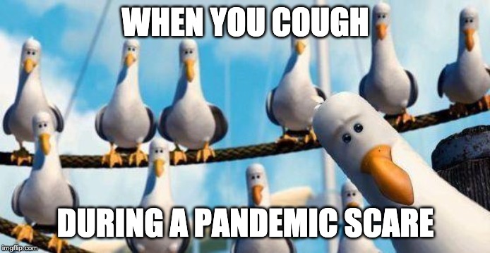 Nemo Birds | WHEN YOU COUGH; DURING A PANDEMIC SCARE | image tagged in nemo birds | made w/ Imgflip meme maker