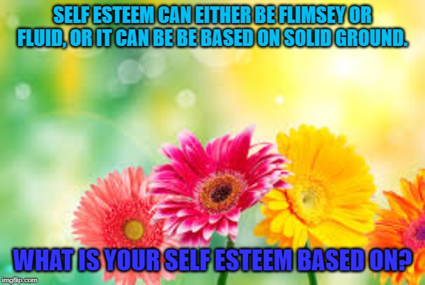 flowers | SELF ESTEEM CAN EITHER BE FLIMSEY OR FLUID, OR IT CAN BE BE BASED ON SOLID GROUND. WHAT IS YOUR SELF ESTEEM BASED ON? | image tagged in flowers | made w/ Imgflip meme maker