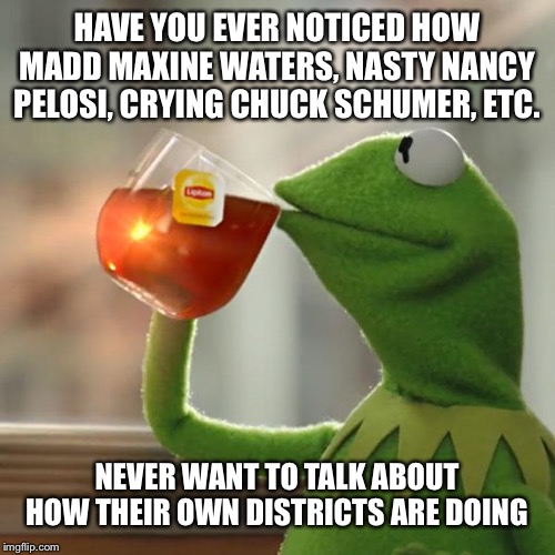 But That's None Of My Business Meme | HAVE YOU EVER NOTICED HOW MADD MAXINE WATERS, NASTY NANCY PELOSI, CRYING CHUCK SCHUMER, ETC. NEVER WANT TO TALK ABOUT HOW THEIR OWN DISTRICTS ARE DOING | image tagged in memes,but thats none of my business,kermit the frog | made w/ Imgflip meme maker