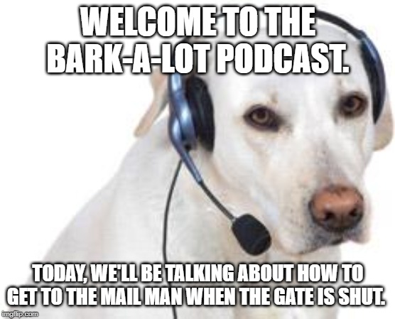 dog phone | WELCOME TO THE BARK-A-LOT PODCAST. TODAY, WE'LL BE TALKING ABOUT HOW TO GET TO THE MAIL MAN WHEN THE GATE IS SHUT. | image tagged in dog phone,podcast,doggo | made w/ Imgflip meme maker