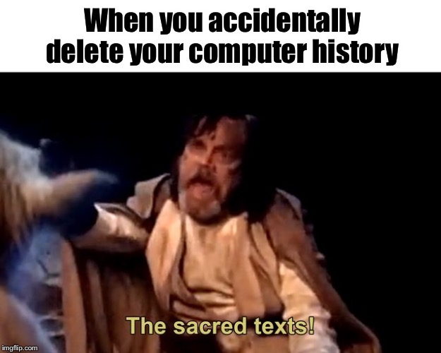 The sacred texts! | When you accidentally delete your computer history | image tagged in the sacred texts,funny,memes,funny memes,history,computer | made w/ Imgflip meme maker