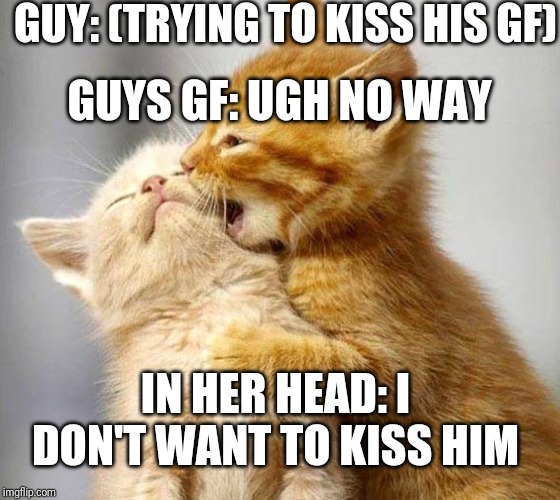 Not wanted | GUY: (TRYING TO KISS HIS GF); GUYS GF: UGH NO WAY; IN HER HEAD: I DON'T WANT TO KISS HIM | image tagged in kissing kittens | made w/ Imgflip meme maker