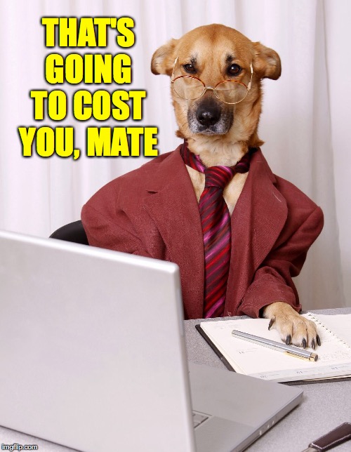 Dog Accountant | THAT'S GOING TO COST YOU, MATE | image tagged in dog accountant | made w/ Imgflip meme maker