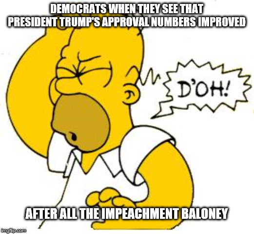 homer doh |  DEMOCRATS WHEN THEY SEE THAT PRESIDENT TRUMP'S APPROVAL NUMBERS IMPROVED; AFTER ALL THE IMPEACHMENT BALONEY | image tagged in homer doh | made w/ Imgflip meme maker