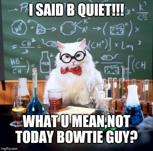 Chemistry Cat Meme | I SAID B QUIET!!! WHAT U MEAN,NOT TODAY BOWTIE GUY? | image tagged in memes,chemistry cat | made w/ Imgflip meme maker