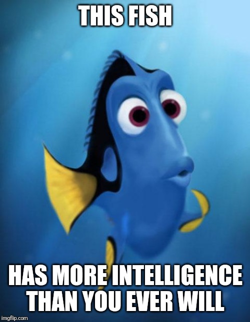 Dory | THIS FISH HAS MORE INTELLIGENCE THAN YOU EVER WILL | image tagged in dory | made w/ Imgflip meme maker