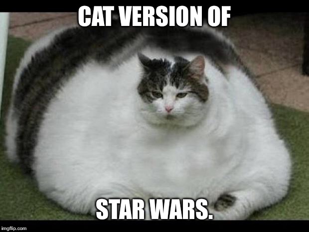 fat cat 2 | CAT VERSION OF; STAR WARS. | image tagged in fat cat 2 | made w/ Imgflip meme maker