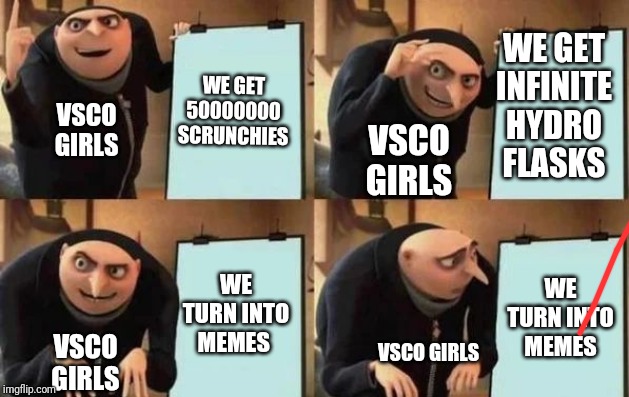 Gru's Plan Meme | WE GET INFINITE HYDRO FLASKS; WE GET 50000000 SCRUNCHIES; VSCO GIRLS; VSCO GIRLS; WE TURN INTO MEMES; WE TURN INTO MEMES; VSCO GIRLS; VSCO GIRLS | image tagged in gru's plan | made w/ Imgflip meme maker