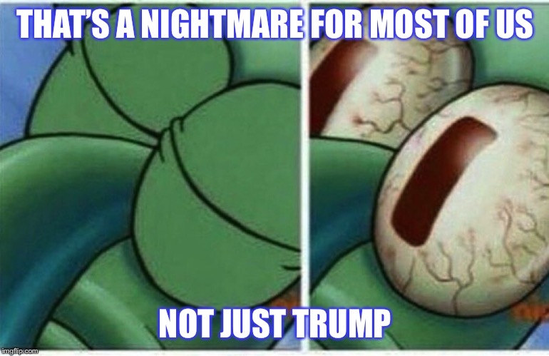 Squidward | THAT’S A NIGHTMARE FOR MOST OF US NOT JUST TRUMP | image tagged in squidward | made w/ Imgflip meme maker