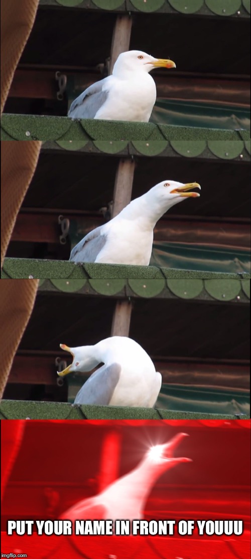 Inhaling Seagull | PUT YOUR NAME IN FRONT OF YOUUU | image tagged in memes,inhaling seagull | made w/ Imgflip meme maker