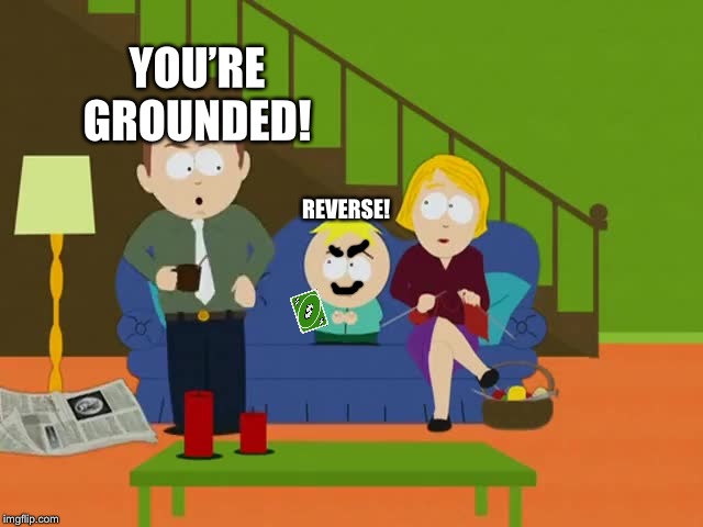 YOURE GROUNDED | YOU’RE GROUNDED! REVERSE! | image tagged in youre grounded | made w/ Imgflip meme maker