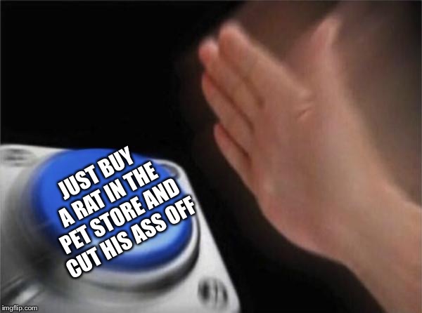 Blank Nut Button Meme | JUST BUY A RAT IN THE PET STORE AND CUT HIS ASS OFF | image tagged in memes,blank nut button | made w/ Imgflip meme maker