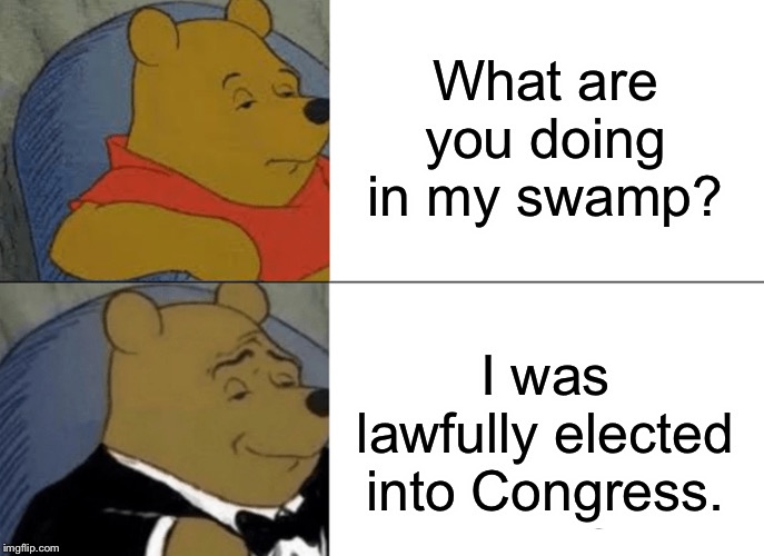 Tuxedo Winnie The Pooh Meme | What are you doing in my swamp? I was lawfully elected into Congress. | image tagged in memes,tuxedo winnie the pooh | made w/ Imgflip meme maker