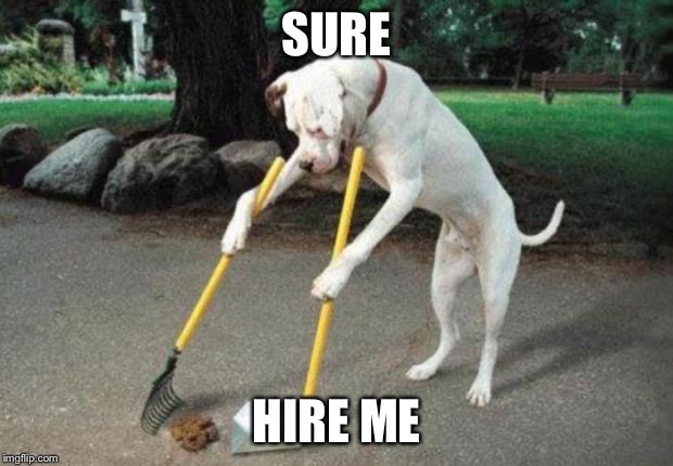 Dog poop | SURE HIRE ME | image tagged in dog poop | made w/ Imgflip meme maker