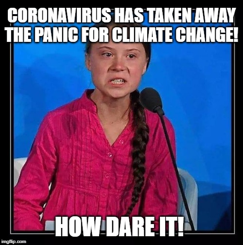King Chaos | CORONAVIRUS HAS TAKEN AWAY THE PANIC FOR CLIMATE CHANGE! HOW DARE IT! | image tagged in king chaos | made w/ Imgflip meme maker