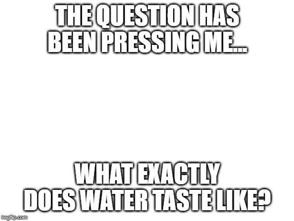 Blank White Template | THE QUESTION HAS BEEN PRESSING ME... WHAT EXACTLY DOES WATER TASTE LIKE? | image tagged in blank white template | made w/ Imgflip meme maker
