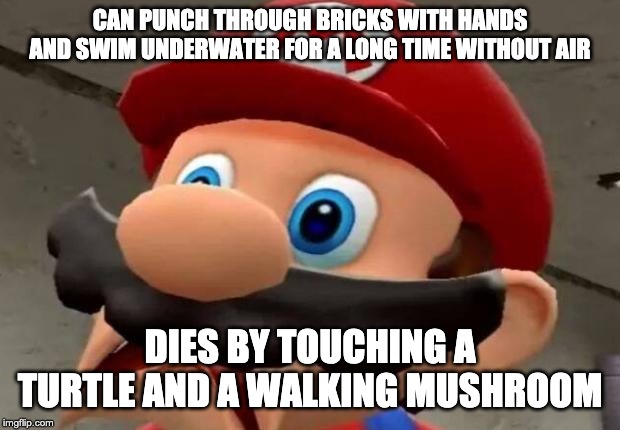 Mario WTF | CAN PUNCH THROUGH BRICKS WITH HANDS AND SWIM UNDERWATER FOR A LONG TIME WITHOUT AIR; DIES BY TOUCHING A TURTLE AND A WALKING MUSHROOM | image tagged in mario wtf | made w/ Imgflip meme maker