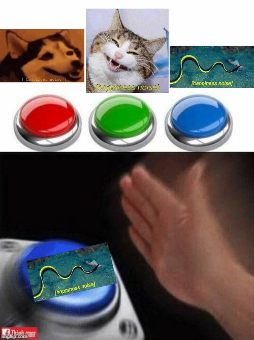 I personally like the 'Happiness Noise Eel' most out of the three there are now. | image tagged in three buttons,happiness noise | made w/ Imgflip meme maker