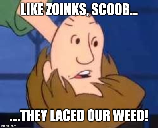 LIKE ZOINKS, SCOOB... ....THEY LACED OUR WEED! | image tagged in scooby doo | made w/ Imgflip meme maker