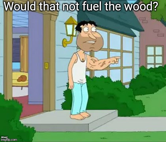 Quagmire Big Arm | Would that not fuel the wood? Wood | image tagged in quagmire big arm | made w/ Imgflip meme maker
