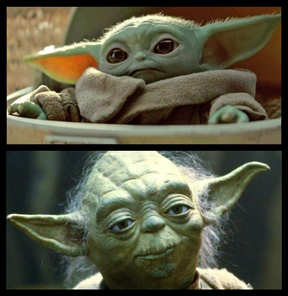 Baby and old yoda Blank Meme Template