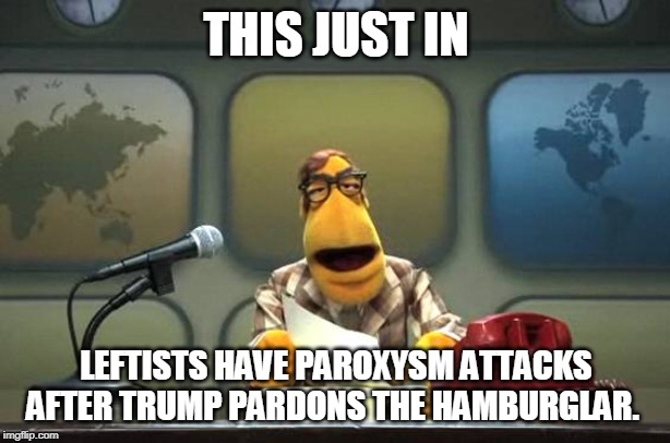Muppet News Flash | THIS JUST IN; LEFTISTS HAVE PAROXYSM ATTACKS AFTER TRUMP PARDONS THE HAMBURGLAR. | image tagged in muppet news flash | made w/ Imgflip meme maker