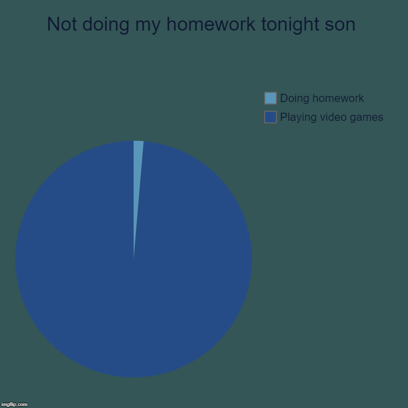 Not doing my homework tonight son | Playing video games, Doing homework | image tagged in charts,pie charts | made w/ Imgflip chart maker