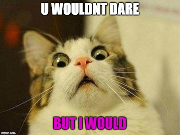 Scared Cat Meme | U WOULDNT DARE; BUT I WOULD | image tagged in memes,scared cat | made w/ Imgflip meme maker