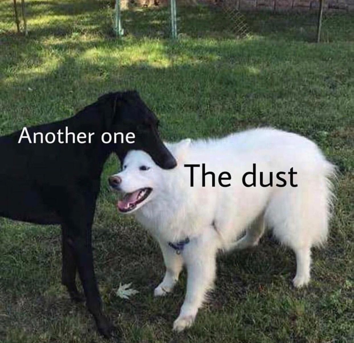 Another one bites the dust Blank Meme Template