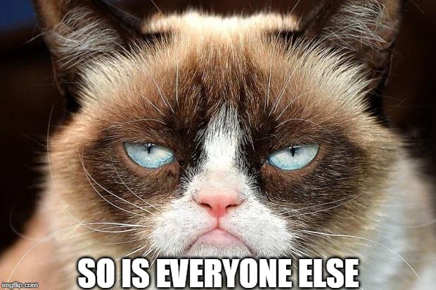 Grumpy Cat Not Amused Meme | SO IS EVERYONE ELSE | image tagged in memes,grumpy cat not amused,grumpy cat | made w/ Imgflip meme maker