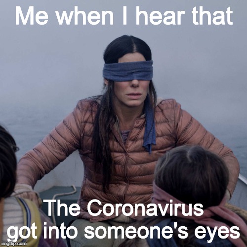 Always being safe from the Coronavirus | Me when I hear that; The Coronavirus got into someone's eyes | image tagged in memes,bird box | made w/ Imgflip meme maker
