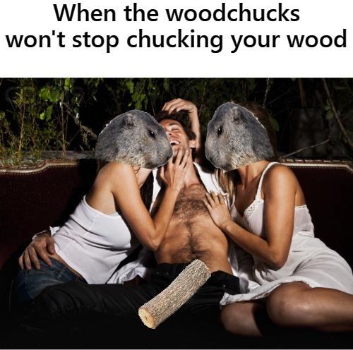 Geico WoodChucks Chucking Wood Blank Meme Template