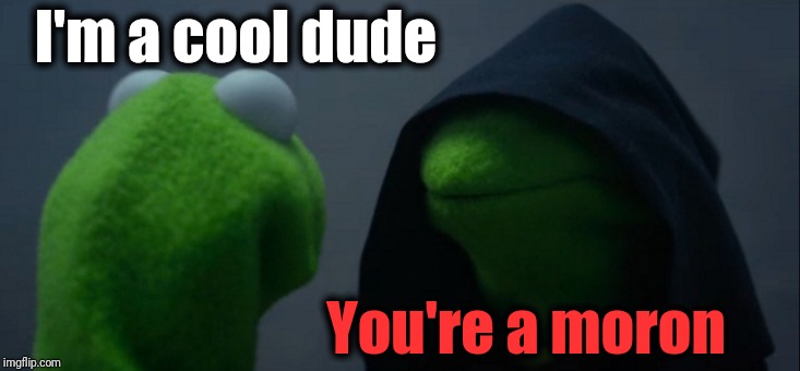 Evil Kermit Meme | I'm a cool dude You're a moron | image tagged in memes,evil kermit | made w/ Imgflip meme maker