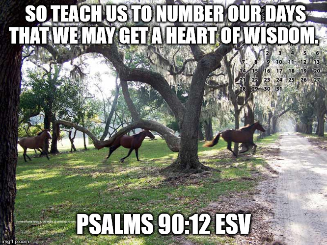 Heart of Wisdom | SO TEACH US TO NUMBER OUR DAYS THAT WE MAY GET A HEART OF WISDOM. PSALMS 90:12 ESV | image tagged in wisdom | made w/ Imgflip meme maker