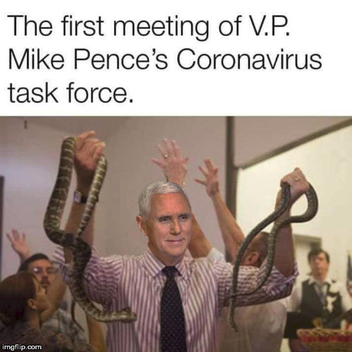 Snake handling snakes | image tagged in mike pence,coronavirus,memes,corona,corona virus | made w/ Imgflip meme maker