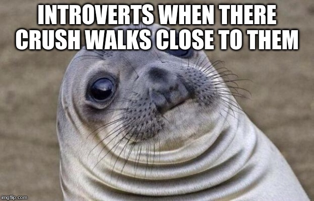 Awkward Moment Sealion | INTROVERTS WHEN THERE CRUSH WALKS CLOSE TO THEM | image tagged in memes,awkward moment sealion | made w/ Imgflip meme maker