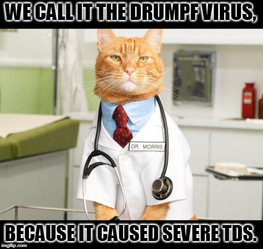 Cat Doctor | WE CALL IT THE DRUMPF VIRUS, BECAUSE IT CAUSED SEVERE TDS. | image tagged in cat doctor | made w/ Imgflip meme maker