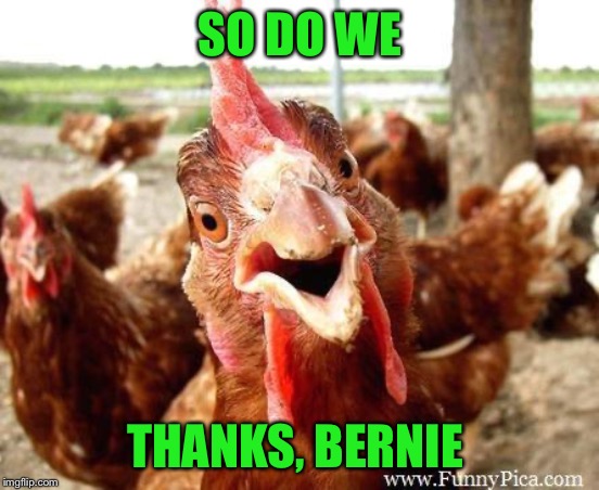 Chicken | SO DO WE THANKS, BERNIE | image tagged in chicken | made w/ Imgflip meme maker