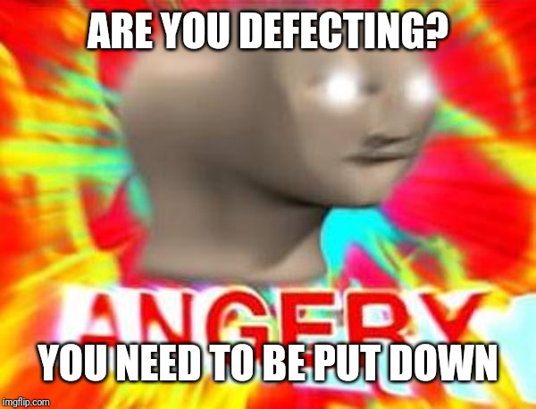 Surreal Angery | ARE YOU DEFECTING? YOU NEED TO BE PUT DOWN | image tagged in surreal angery | made w/ Imgflip meme maker